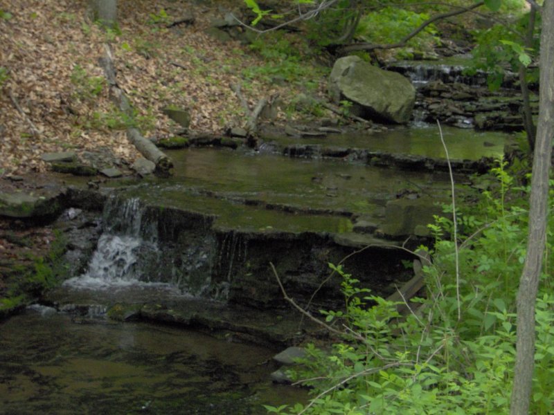 Bud Brook Falls